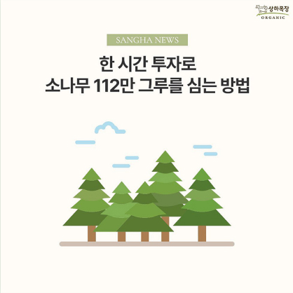 한시간 투자로 소나무 112만 그루를 심는 방법